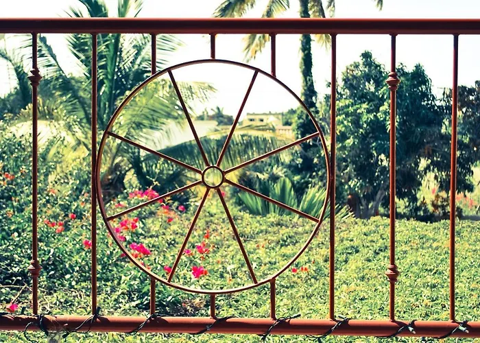 Hacienda De Palmas La Ribera