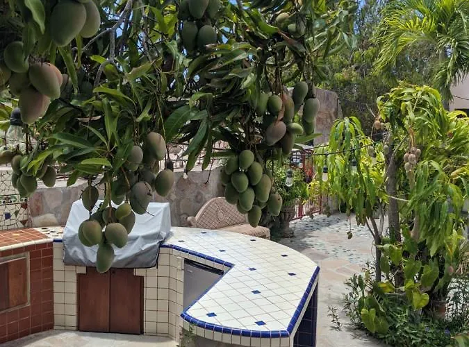 Bed & Breakfast Hacienda De Palmas