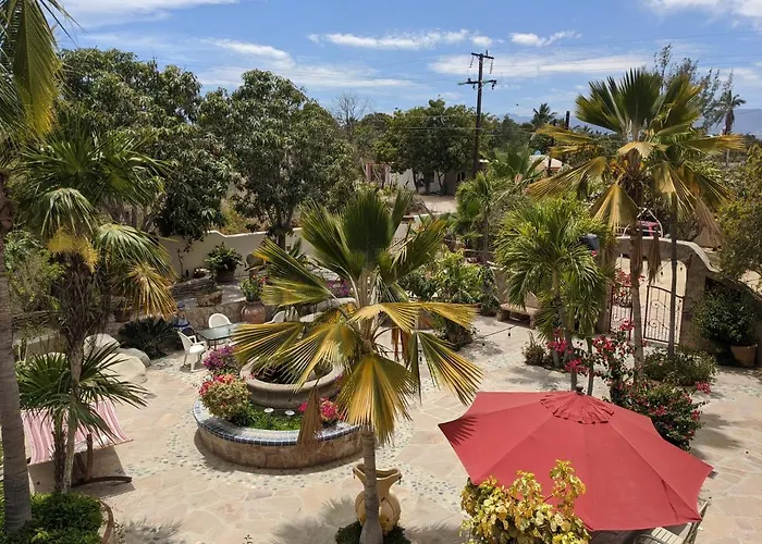 Hacienda De Palmas * La Ribera
