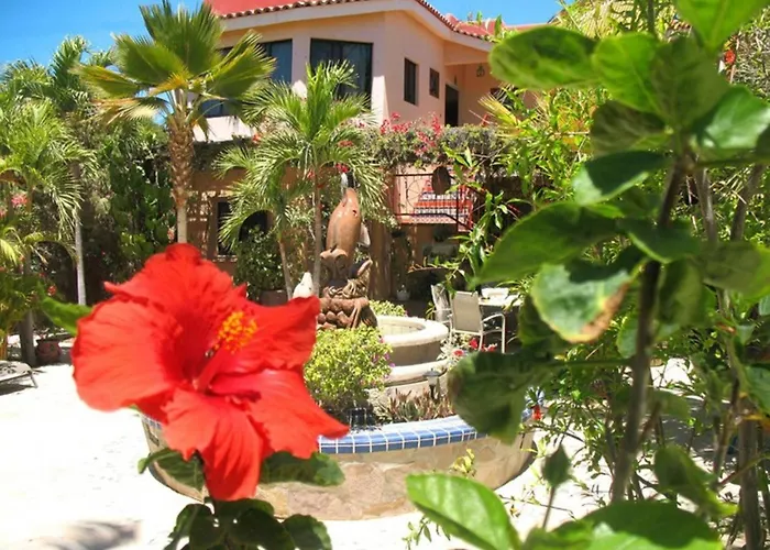 Hacienda De Palmas * La Ribera